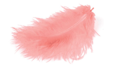 Marabufedern - rosa