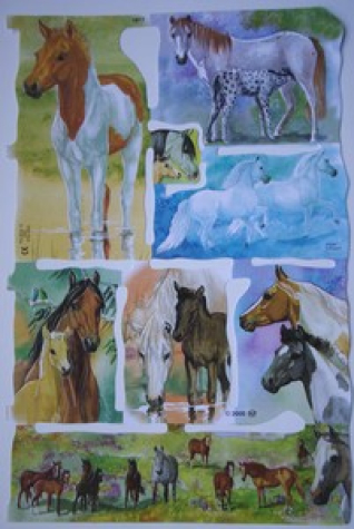 Poesiebild Pferde <br> 1 Bogen 15,5x24cm