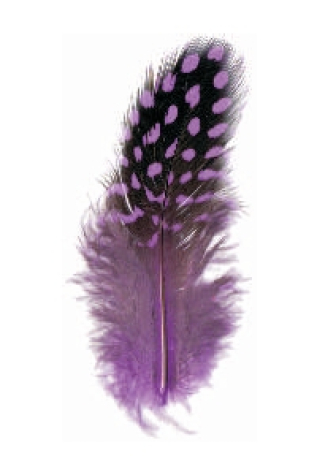 Perlhuhnfedern ca. 6/8 cm <br> violett - ca. 24 Stück