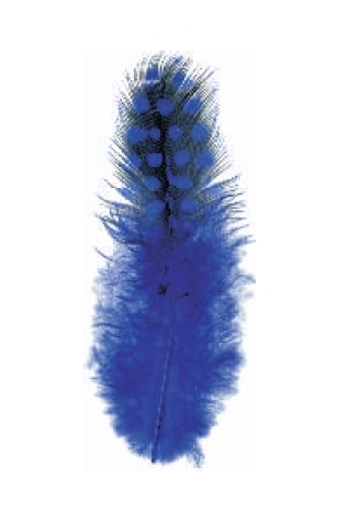Perlhuhnfedern ca. 6/8 cm <br> blau - ca. 24 Stück