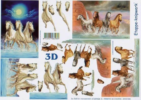 3D Bogen - A4 - Le Suh 4169426 - Pferde