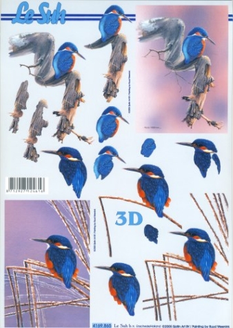 3D Bogen - A4 - Le Suh 4169865 - Eisvogel