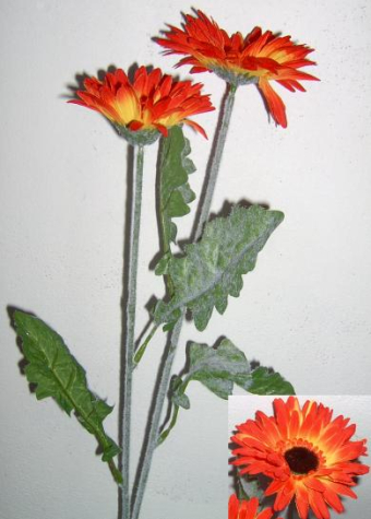 Gerbera rot-gelb <br> 2 Blüten Ø 8 + 11 cm <br> Länge 65 cm