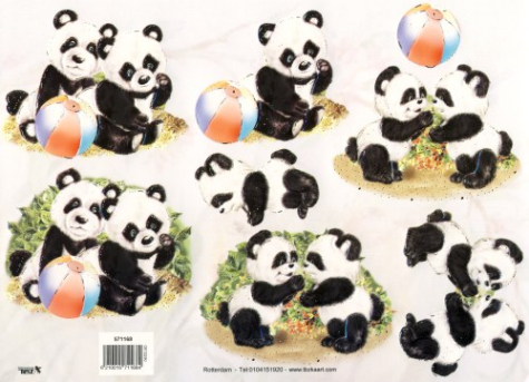 3D Bogen geprägt - TBZ 571168 - Pandabären