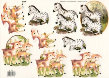 3D Bogen geprägt - TBZ 571173 - Zebras