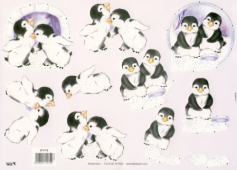 3D Bogen geprägt - TBZ 571175 - Pinguine