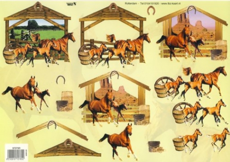 3D Bogen geprägt - TBZ 572769 - Pferde