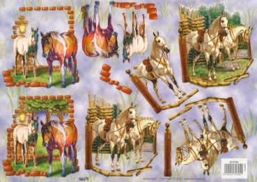 3D Bogen geprägt - TBZ 572795 - Pferde