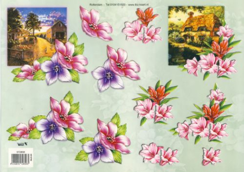 3D Bogen geprägt - TBZ 572858 - Blumen