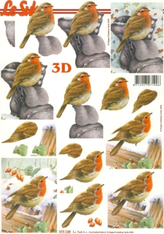 3D Bogen - A4 - Le Suh 777139 - Rotkehlchen