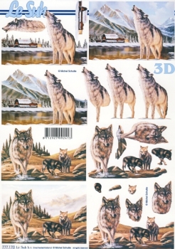 3D Bogen - A4 - Le Suh 777170 - Wölfe