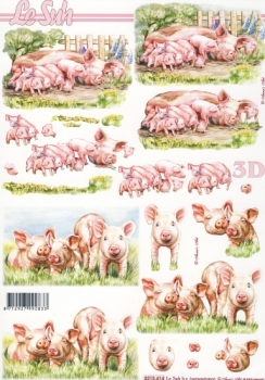 3D Bogen - Le Suh / Nouvelle 8215414 - Schweine
