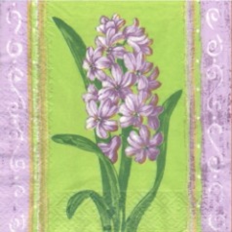 Serviette Hyacinthus violett