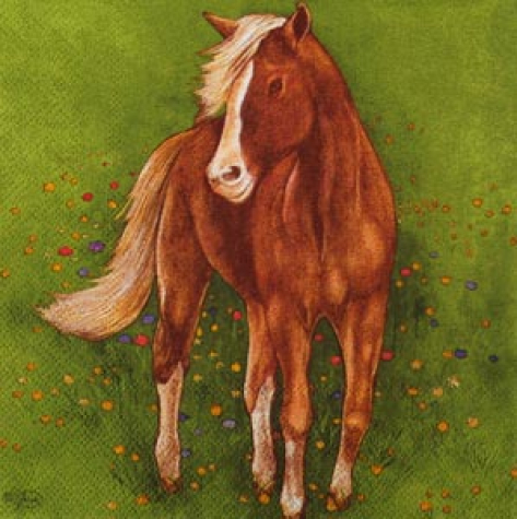 Serviette Shetland Pony