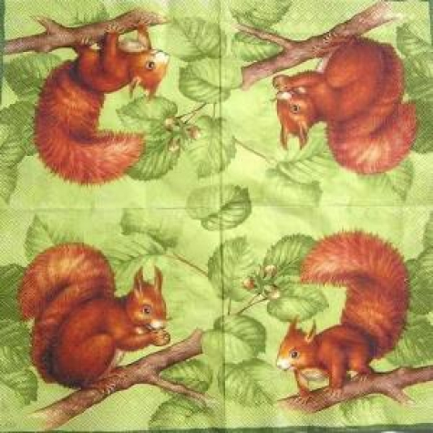 Serviette Squirrel - green