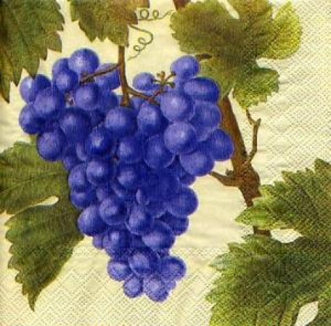 Servietten Vino grappolo