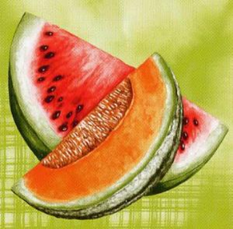 Servietten Wassermelone