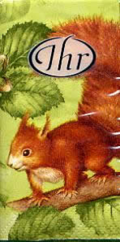 Taschentuch Squirrel - green <br> 1 Stück - 4-lagig