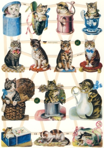 Poesiebild / Glanzbild 'verspielte Katzen'