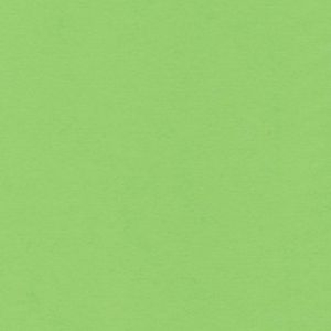 Tonkarton/Kartenpapier DIN A5 - 28 grasgrün