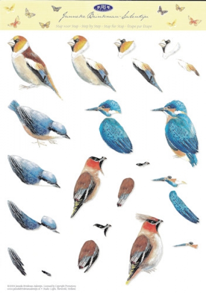 3D-Bogen - Janneke Brinkman Nr. 16 - Vögel