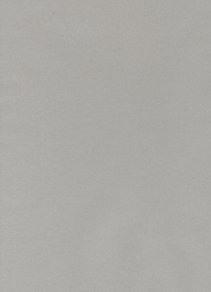Pergamentpapier DIN A4 - Silber