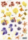 3D-Bogen - A5 <br> Marianne Design 3D439<br> Schmetterlinge und Blumen