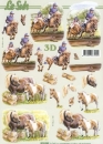 3D Bogen - Le Suh / Nouvelle 8215282 - Ponys
