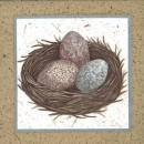 Servietten Nest mit Eiern