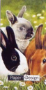Taschentuch Little Rabbits <br> 1 Stück - 4-lagig