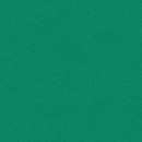 Tonkarton/Kartenpapier DIN A5 - 25 dunkelgrün